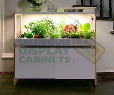 Counter Greenhouse Showcase