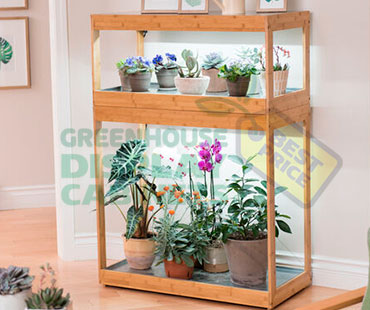 Counter Greenhouse Showcase