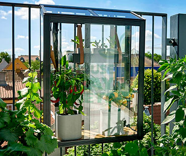 Wall Mounted Greenhouse Showcase