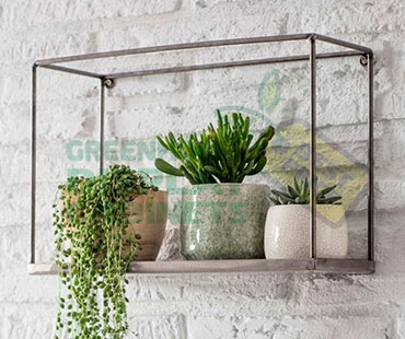 Wall Mounted Greenhouse Showcase